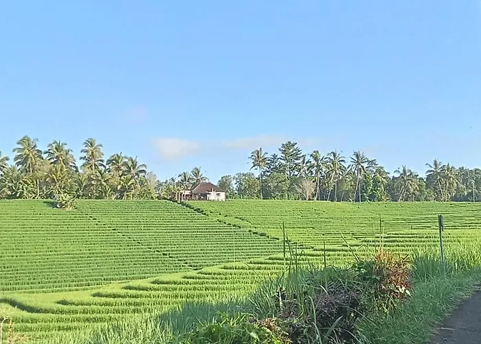 Balitrees 3* Selemadeg (Bali)