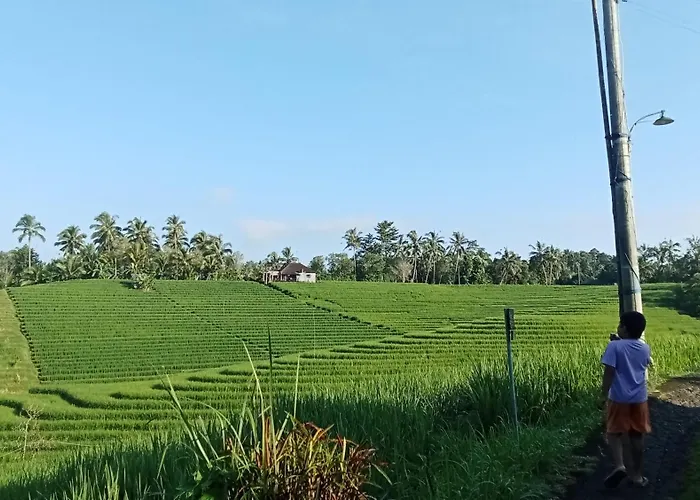 Balitrees بيت ضيافة